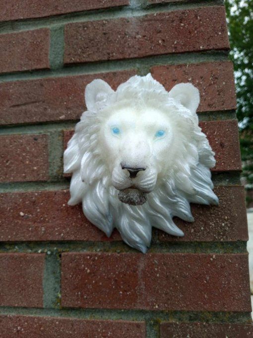 grosse de lion mural 