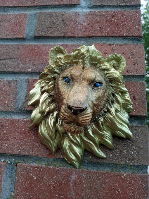 grosse tête  de lion 