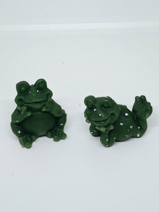 petite grenouille rigolote 