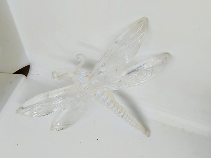 libellule transparente 