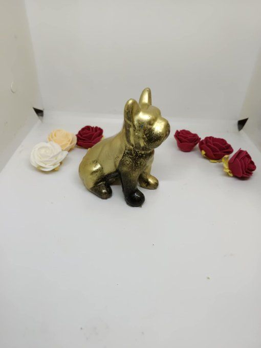 bouledogue moue maison